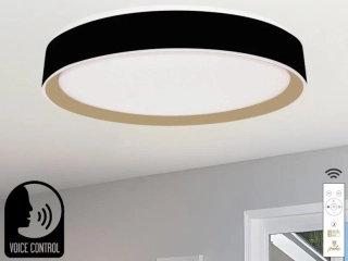 LED stropná lampa OPAL + DO + OVLÁDANIE HLASOM 48W - LC902MBV