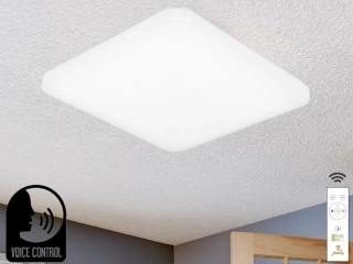 LED stropná lampa OPAL + DO + OVLÁDANIE HLASOM 48W - LC902S/SV