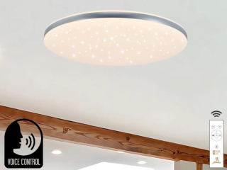 LED stropná lampa OPAL + DO + OVLÁDANIE HLASOM 48W - LC912TV